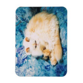 Persian Cat Foto Magnet (Vertikal)