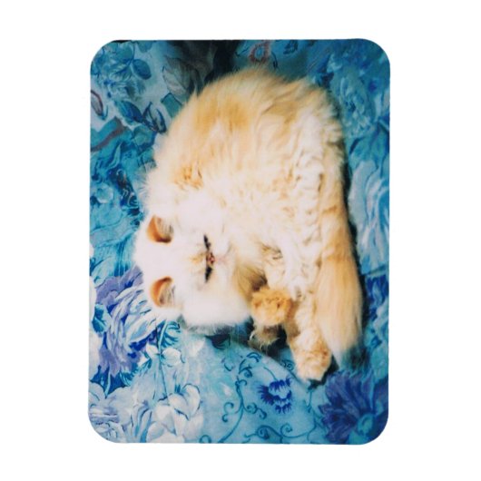 Persian Cat Foto Magnet (Vertikal)