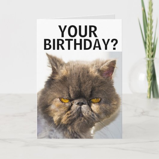 PERSIAN CAT FUNNY BIRTHDAY CARD KARTE (Vorderseite)