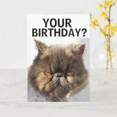 PERSIAN CAT FUNNY BIRTHDAY CARD KARTE (Gelbe Blume)