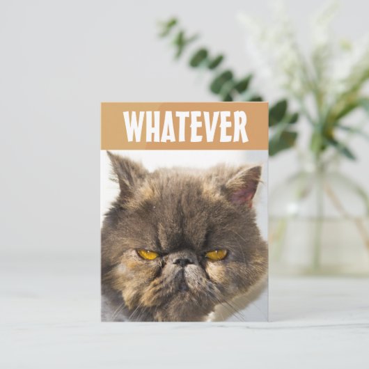 PERSIAN CAT FUNNY GRUMPY POSTCARD POSTKARTE (Stehend Vorderseite)