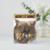 PERSIAN CAT FUNNY POSTCARD POSTKARTE (Stehend Vorderseite)