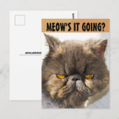 PERSIAN CAT FUNNY POSTCARD POSTKARTE (Vorne/Hinten)