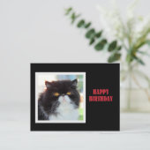 Persian Cat Happy Birthday Postkarte (Stehend Vorderseite)