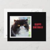 Persian Cat Happy Birthday Postkarte (Vorne/Hinten)