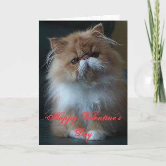 Persian Cat Happy Valentine's Day Feiertagskarte (Vorderseite)