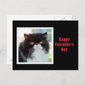 Persian Cat Happy Valentine's Day Feiertagspostkarte (Vorne/Hinten)
