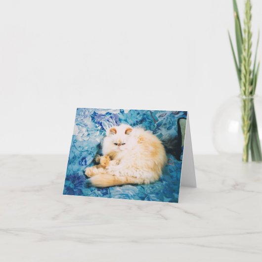 Persian Cat Note Card Karte (Vorderseite)