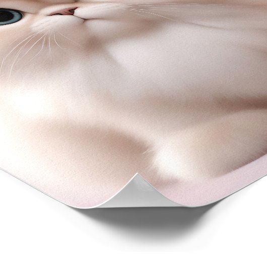 Persian Cat Playful Kitten Poster (Ecke)