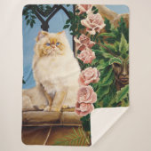 Persian Cat Rose Dryad Sherpadecke (Vorderseite)