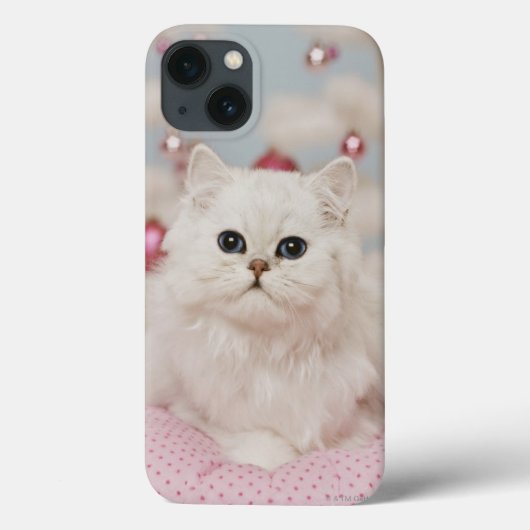 Persian cat sitting on pink pillow Case-Mate iPhone hülle (Rückseite)