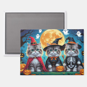 Persian Cats Pumpkin Halloween Funny Magnet