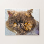 Persian Cats. Puzzle (Horizontal)