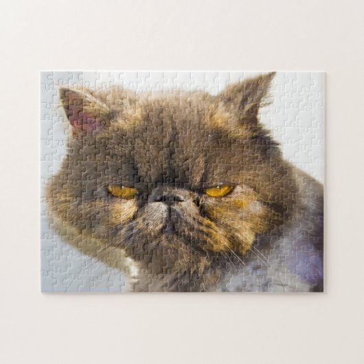 Persian Cats. Puzzle (Horizontal)