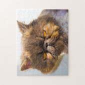 Persian Cats. Puzzle (Vertikal)