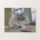 Persian Himalayan Cat Puzzle (Horizontal)