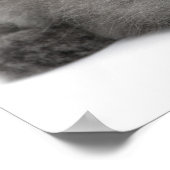 Persian Kitten (2 Monate alt) mit Strohhalm Poster (Ecke)