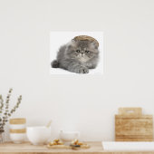 Persian Kitten (2 Monate alt) mit Strohhalm Poster (Küche)