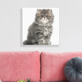 Persian Kitten (2 Monate alt), sitzend Leinwanddruck (Insitu (Wohnzimmer))