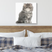 Persian Kitten (2 Monate alt), sitzend Leinwanddruck (Insitu (Schlafzimmer))