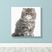Persian Kitten (2 Monate alt), sitzend Leinwanddruck (Insitu (Holzboden))