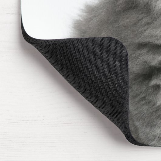 Persian Kitten (2 Monate alt), sitzend Mousepad (Ecke)