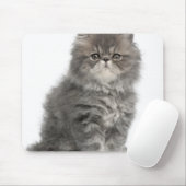 Persian Kitten (2 Monate alt), sitzend Mousepad (Mit Mouse)
