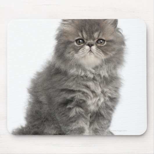 Persian Kitten (2 Monate alt), sitzend Mousepad (Vorne)