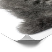 Persian Kitten (2 Monate alt), sitzend Poster (Ecke)