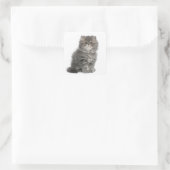 Persian Kitten (2 Monate alt), sitzend Quadratischer Aufkleber (Tasche)