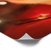 Persian Kitten Poster - Soft Fur & Big Eyes - Kauf (Ecke)