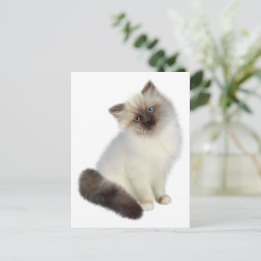 Persian Kitten Postkarte (Stehend Vorderseite)