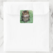 Persian Kitten Quadratischer Aufkleber (Tasche)