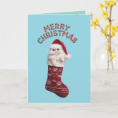 Persian Kitty Christmas Strumpf Karte (Gelbe Blume)