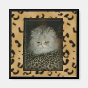 Persian Kitty Magnet