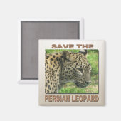 Persian Leopard Magnet (Vorderseite/Rückseite)