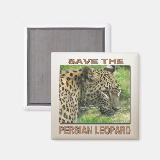 Persian Leopard Magnet (Vorderseite/Rückseite)