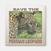Persian Leopard Magnet (Vorne)