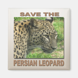 Persian Leopard Magnet