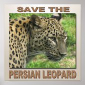 Persian Leopard Poster (Vorne)