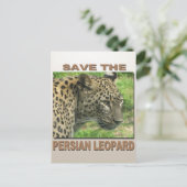 Persian Leopard Postkarte (Stehend Vorderseite)