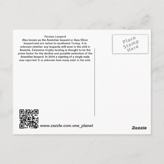 Persian Leopard Postkarte (Rückseite)