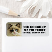 PERSIAN RAGDOLL CAT-Rücksendeadressen-Aufkleber (Insitu)