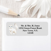 Persian White Cat Address (Insitu)