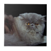 Persiblau Fliese (Vorderseite)