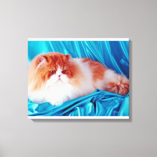 Persikatze Leinwanddruck (Vorderseite)
