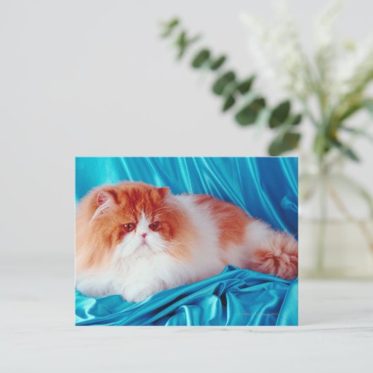 Persikatze Postkarte (Stehend Vorderseite)