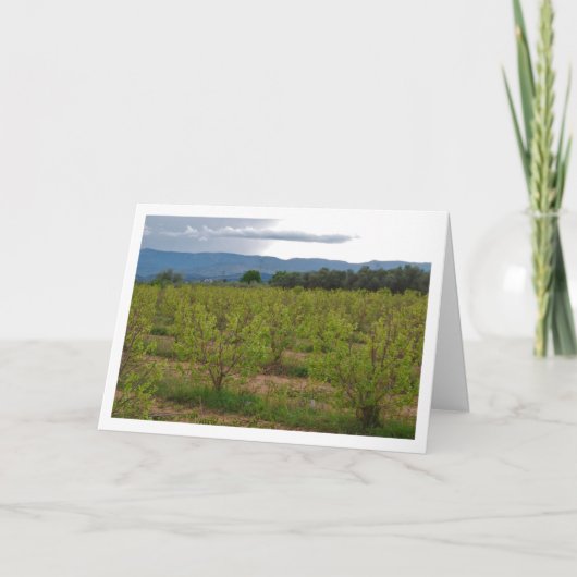 Persimmon Bäume und Berglandschaft Karte (Vorderseite)