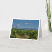 Persimmon Field Landscape Card Karte (Vorderseite)