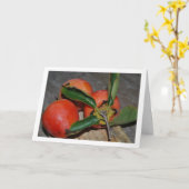 Persimmon Fruchtportrait Karte (Gelbe Blume)